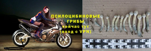 меф Белокуриха