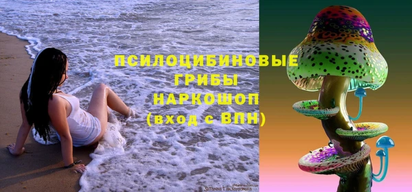 меф Белокуриха