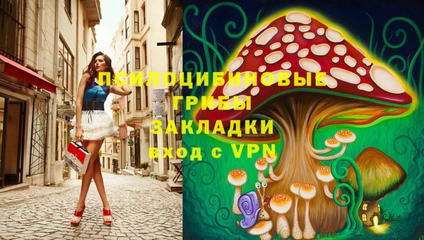 меф Белокуриха