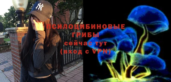меф Белокуриха